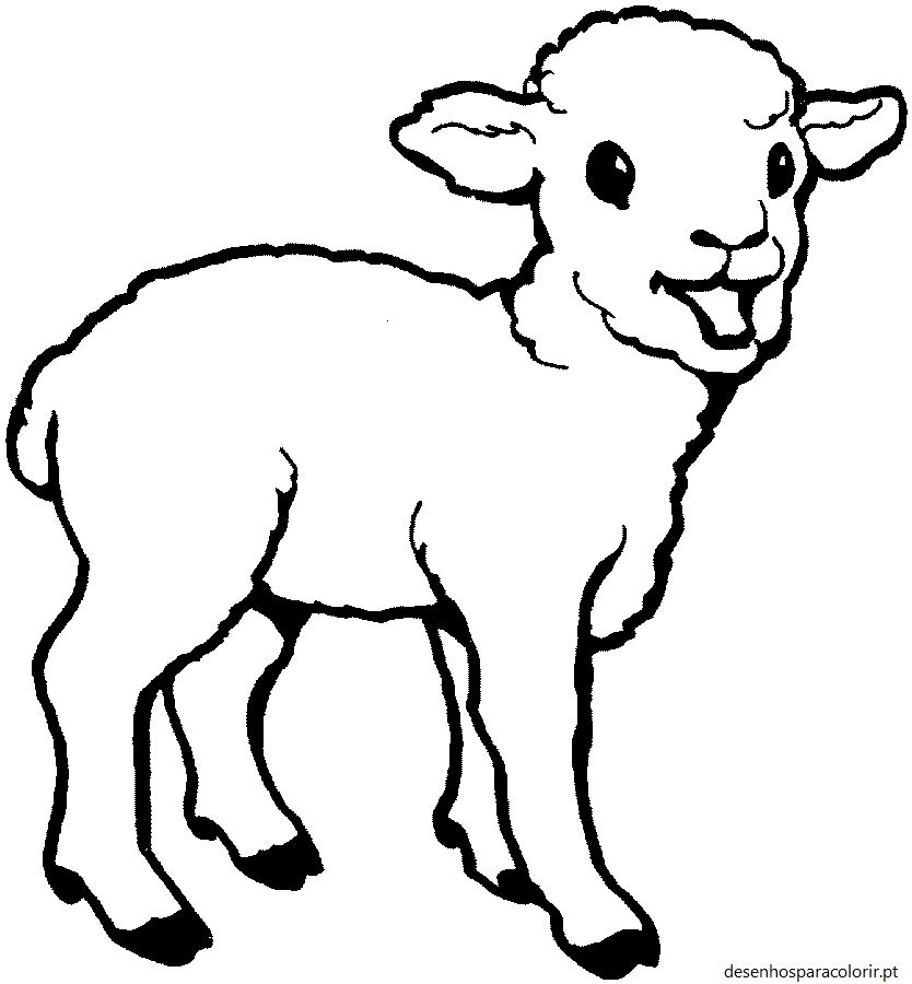 Desenhos de ovelhas para colorir 01